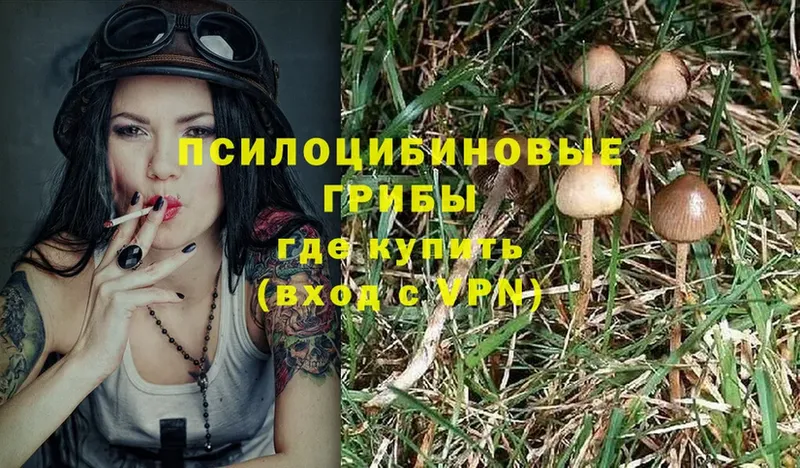 как найти закладки  Ленинск  Галлюциногенные грибы Magic Shrooms 